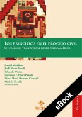 Los principios en el proceso civil (eBook, ePUB)