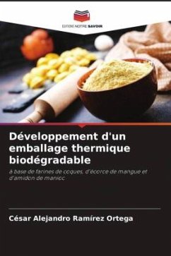 Développement d'un emballage thermique biodégradable - Ramírez Ortega, César Alejandro