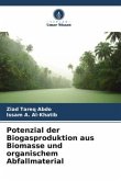 Potenzial der Biogasproduktion aus Biomasse und organischem Abfallmaterial