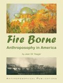 Fire Borne (eBook, ePUB)