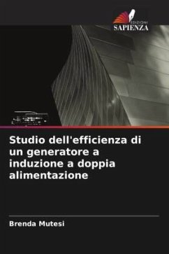 Studio dell'efficienza di un generatore a induzione a doppia alimentazione - Mutesi, Brenda