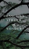 Conscious Stream of Wonder
