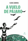 A vuelo de pájaro (eBook, PDF)