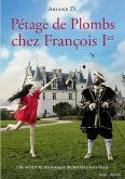 Pétage de plombs chez François Ier (eBook, ePUB) Pétage de plombs chez François Ier (eBook, ePUB)
