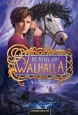 Die Nebel von Walhalla (Bd. 2) (eBook, ePUB)