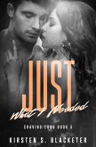 Just What I Needed (Craving 1985, #5) (eBook, ePUB)