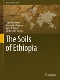 The Soils of Ethiopia (eBook, PDF)