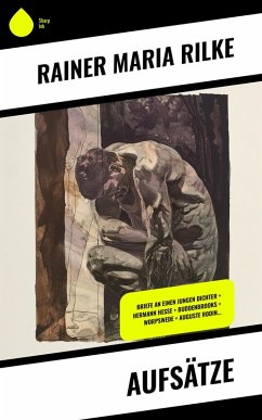 Cover Aufsätze (eBook, ePUB)