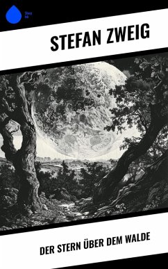 Cover Der Stern über dem Walde (eBook, ePUB)