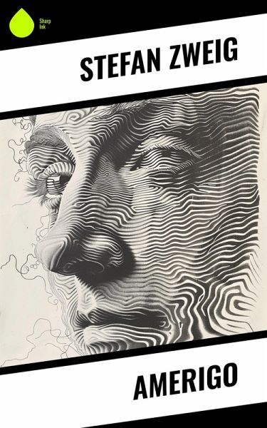 Amerigo (eBook, ePUB)