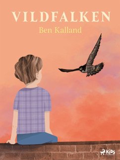 Cover Vildfalken (eBook, ePUB)