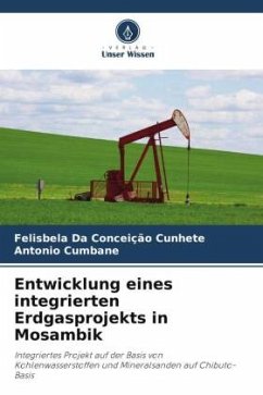 Entwicklung eines integrierten Erdgasprojekts in Mosambik - Da Conceição Cunhete, Felisbela;Cumbane, Antonio