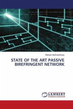 STATE OF THE ART PASSIVE BIREFRINGENT NETWORK