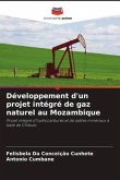 Développement d'un projet intégré de gaz naturel au Mozambique