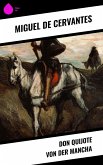 Don Quijote von der Mancha (eBook, ePUB)