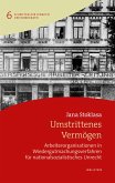 Umstrittenes Vermögen (eBook, PDF)