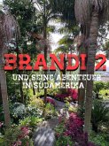 Brandi 2 (eBook, ePUB)