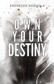 Own Your Destiny (eBook, ePUB)