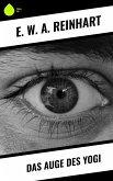 Das Auge des Yogi (eBook, ePUB)