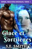 Glace et Sortilèges (eBook, ePUB)