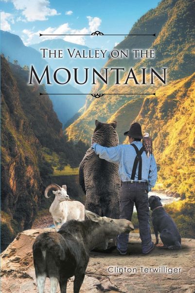 The Valley on the Mountain (eBook, ePUB)