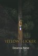 Yellow Slicker (eBook, ePUB) - Bild 1