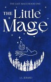 The Little Mage (The Last Mage, #1) (eBook, ePUB) The Little Mage (The Last Mage, #1) (eBook, ePUB)