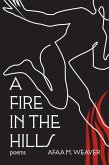 A Fire in the Hills (eBook, ePUB)