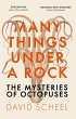Many Things Under a Rock (eBook, ePUB) - Bild 1