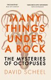 Many Things Under a Rock (eBook, ePUB)