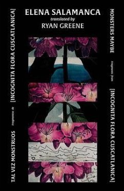 Cover Tal Vez Monstruos / Monsters Maybe (eBook, ePUB)