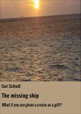 The missing ship (eBook, ePUB)