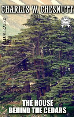 The House Behind the Cedars. Illustrated (eBook, ePUB) - Chesnutt, Charles W.