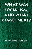 What Was Socialism, and What Comes Next? (eBook, ePUB)