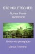 STEINGLETSCHER (eBook, ePUB) - Bild 1