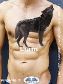 liam (eBook, ePUB)