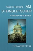 Am Steingletscher (eBook, ePUB)
