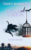 Visszafelé mesélve (eBook, ePUB)