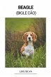 Beagle (Bigle Cão) - Bild 1