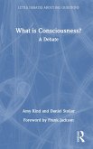 What is Consciousness?
