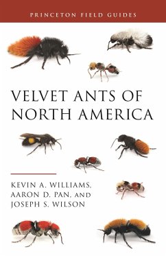 Velvet Ants of North America - Williams, Dr. Kevin; Pan, Dr. Aaron D.; Wilson, Joseph S.