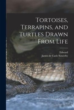 Tortoises, Terrapins, and Turtles Drawn From Life - Lear, Edward