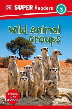 DK Super Readers Level 3 Wild Animal Groups - Dk