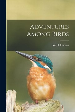 Cover Adventures Among Birds