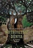 Kutbiyetsiz Dünya