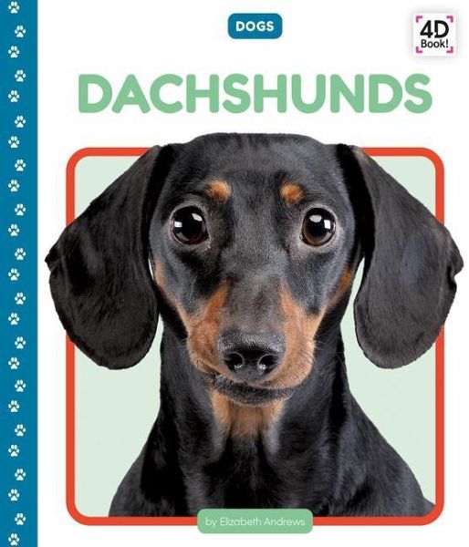 Dachshunds Dachshunds