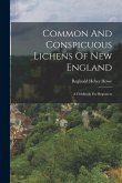 Common And Conspicuous Lichens Of New England: A Fieldbook For Beginners