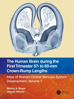 The Human Brain during the First Trimester 57- to 60-mm Crown-Rump Lengths - Bayer, Shirley A; Altman, Joseph