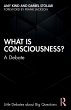 What is Consciousness? - Bild 1