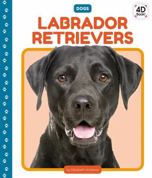 Labrador Retrievers Labrador Retrievers